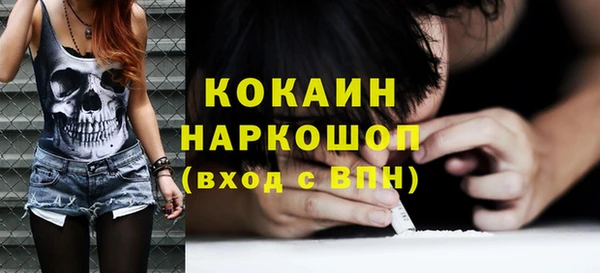 прущие грибы Белокуриха